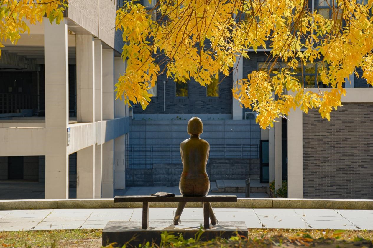 22A79068AD9940AA00D8CAAF28B_DCCF3CCE_43CA6